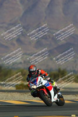 media/Jan-13-2024-SoCal Trackdays (Sat) [[9c032fe5aa]]/Turn 14 (10am)/